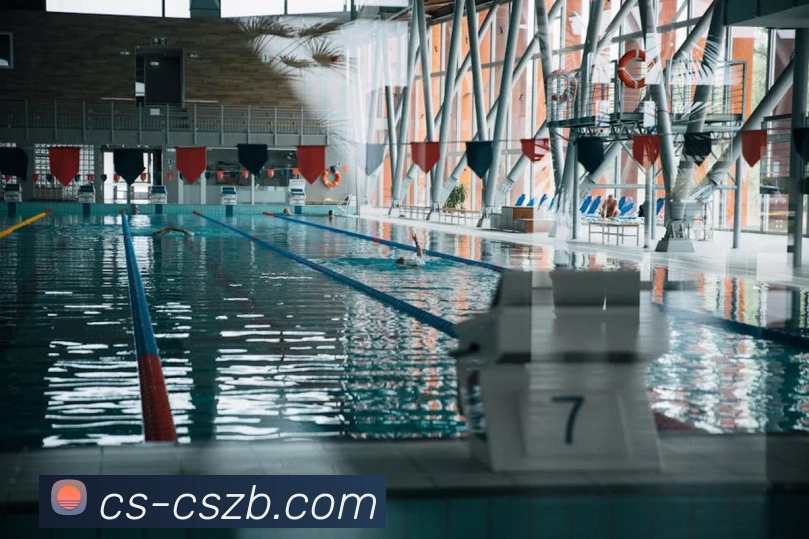 App Interface Preview